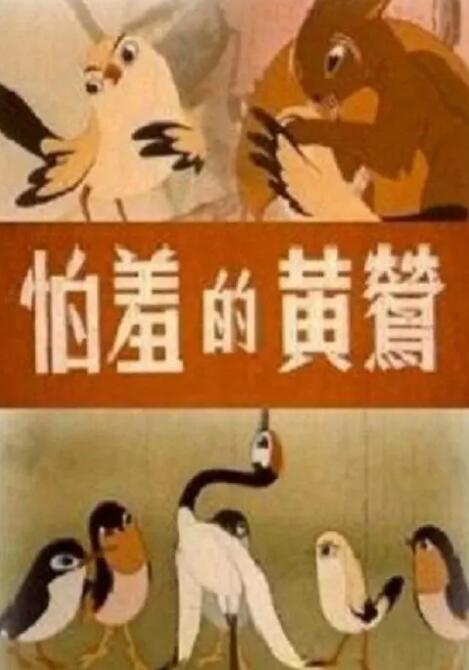 午夜视频一区二区