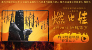 日韩午夜一区二区在线精品三级伦理